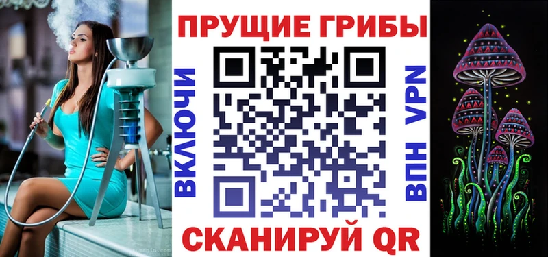 Псилоцибиновые грибы Psilocybine cubensis  Беломорск 