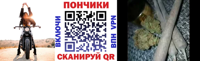 Марихуана OG Kush  Беломорск 